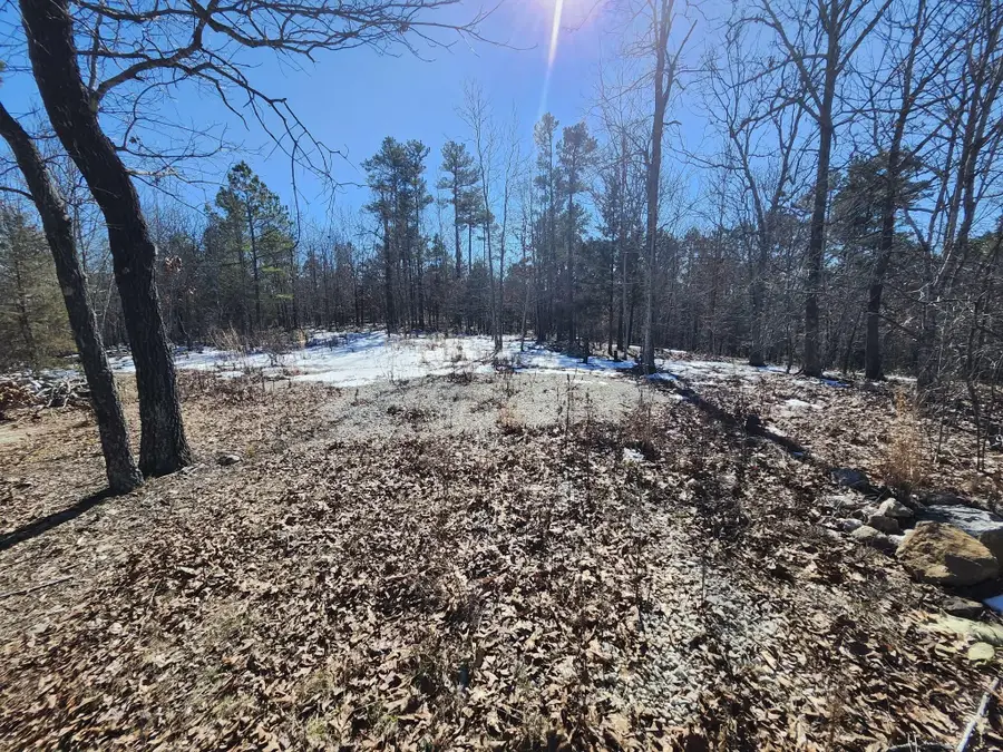 000 Sargent Road, Willow Springs, MO 65793 - #3