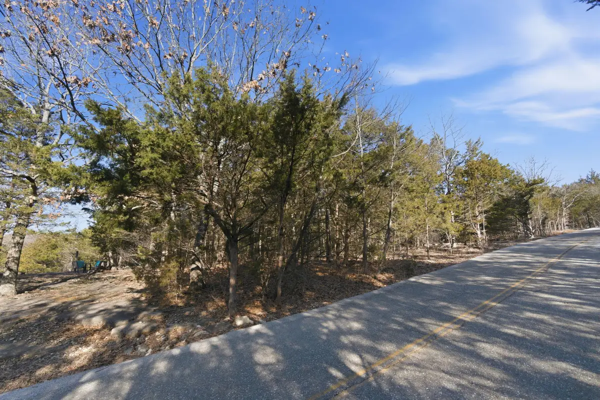 Lot 12 Crows Nest Trail, Branson, MO 65616 - #1
