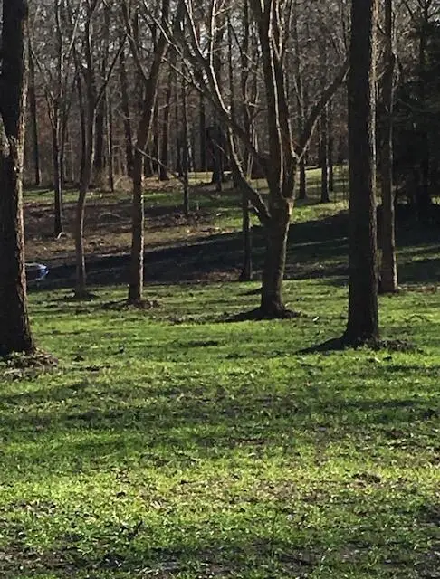 2484 W Landers Road, Nixa, MO 65714 - #1