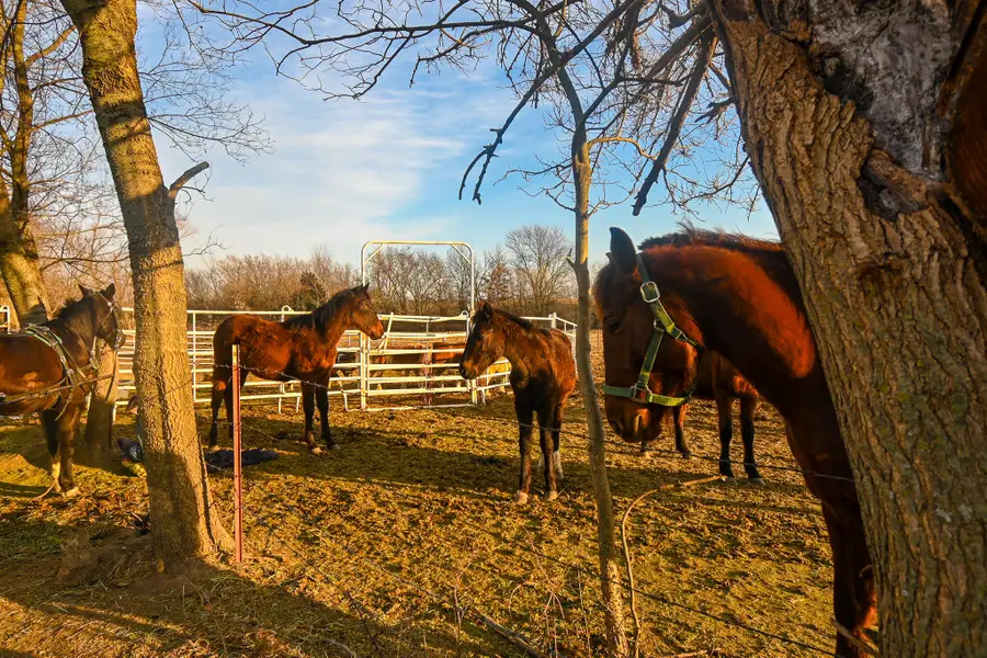 71 W V Highway, Lamar, MO 64759 - #3