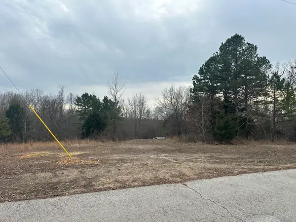 000 County Road 306, Van Buren, MO 63965