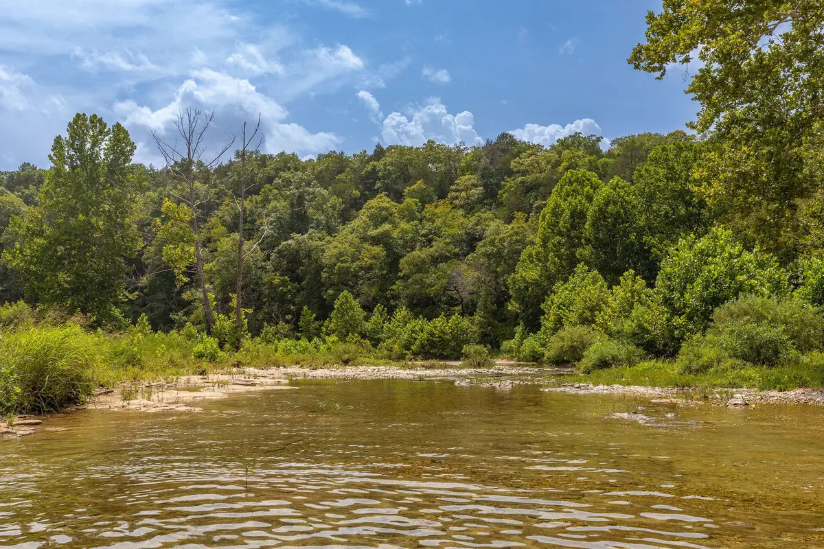 000 Us Highway 160, Walnut Shade, MO 65771 - #1