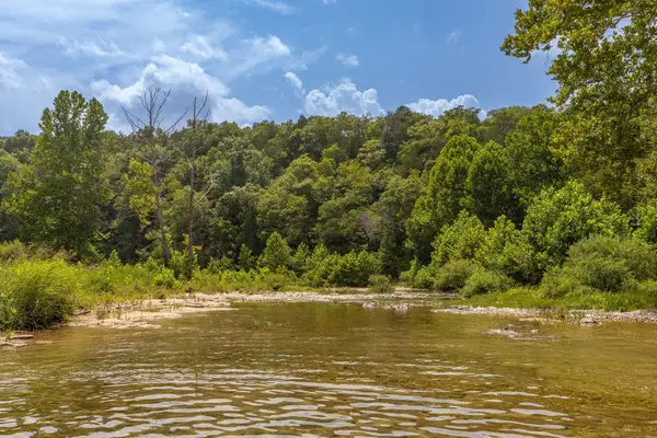 000 Us Highway 160, Walnut Shade, MO 65771