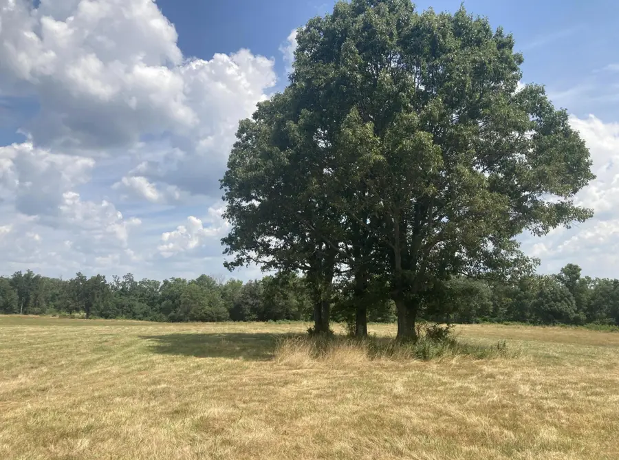 3249 Clark Lane, Mansfield, MO 65704 - #2