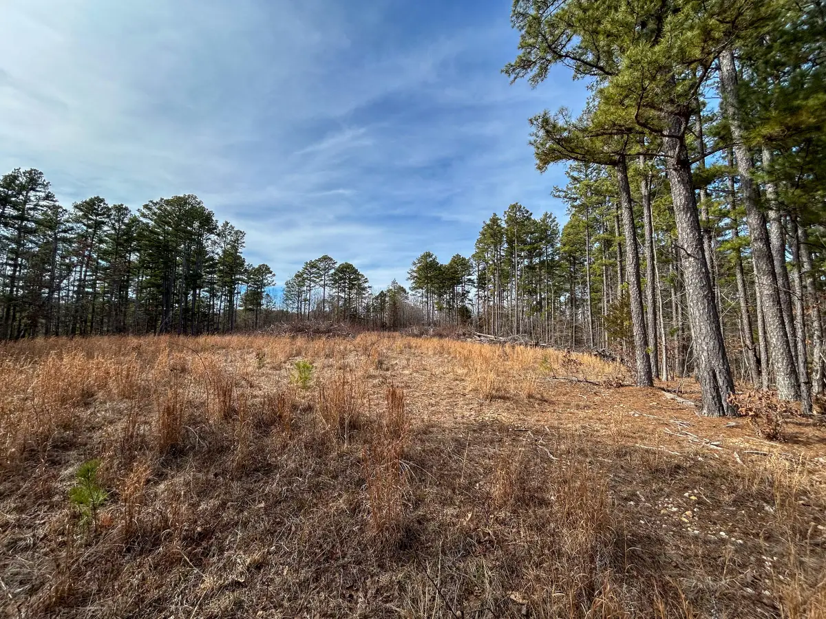 513 Timberline Road, Willow Springs, MO 65793 - #1