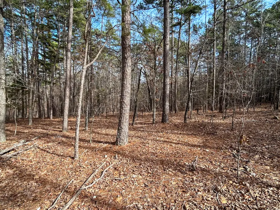 513 Timberline Road, Willow Springs, MO 65793 - #3