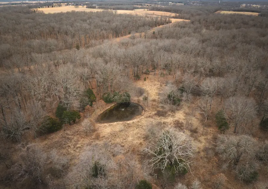 000 Hofrichter Drive, Macks Creek, MO 65786 - #3