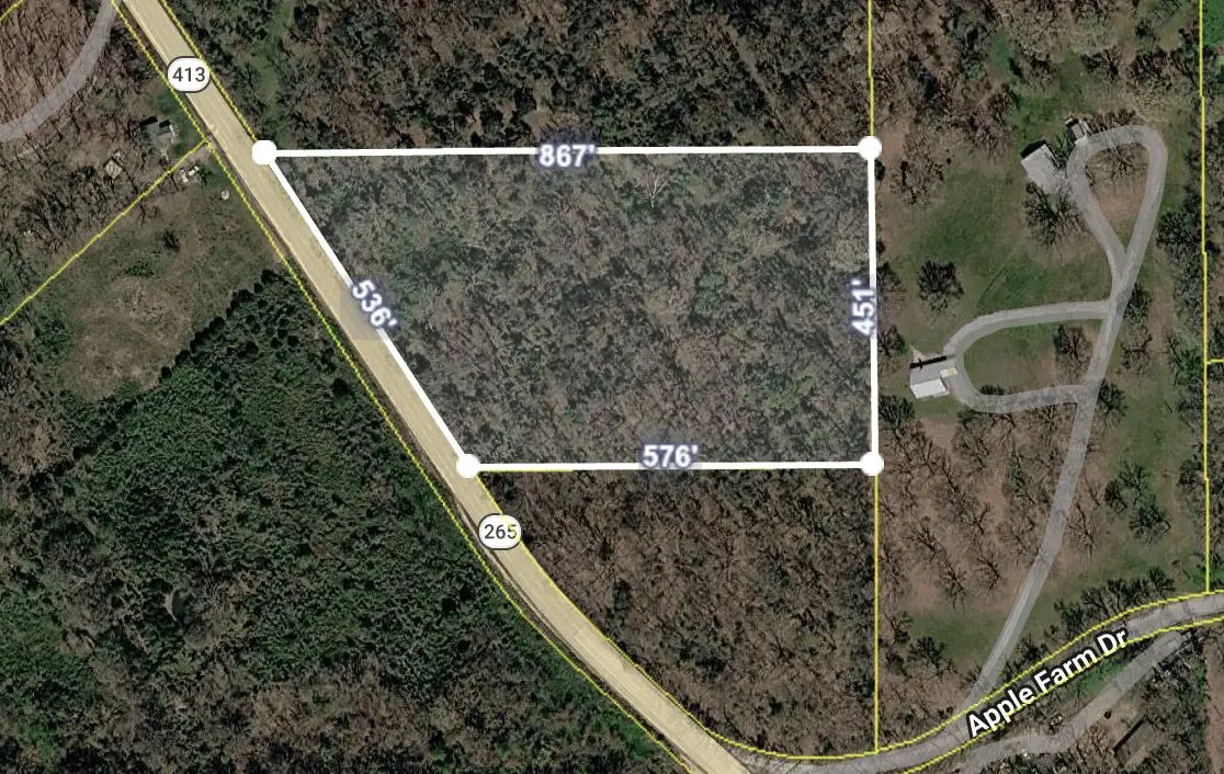 Tbd State Highway 413, Crane, MO 65633 - #1