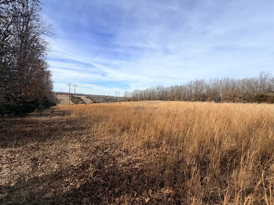 11615 State Highway 32, Stockton, MO 65785 - #3