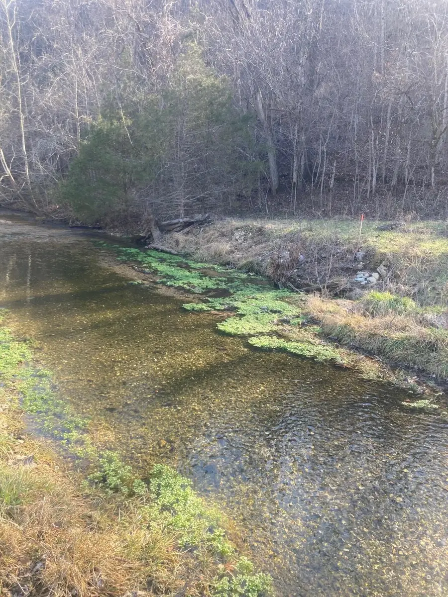 000 Reno Springs Road, Branson, MO 65616 - #3