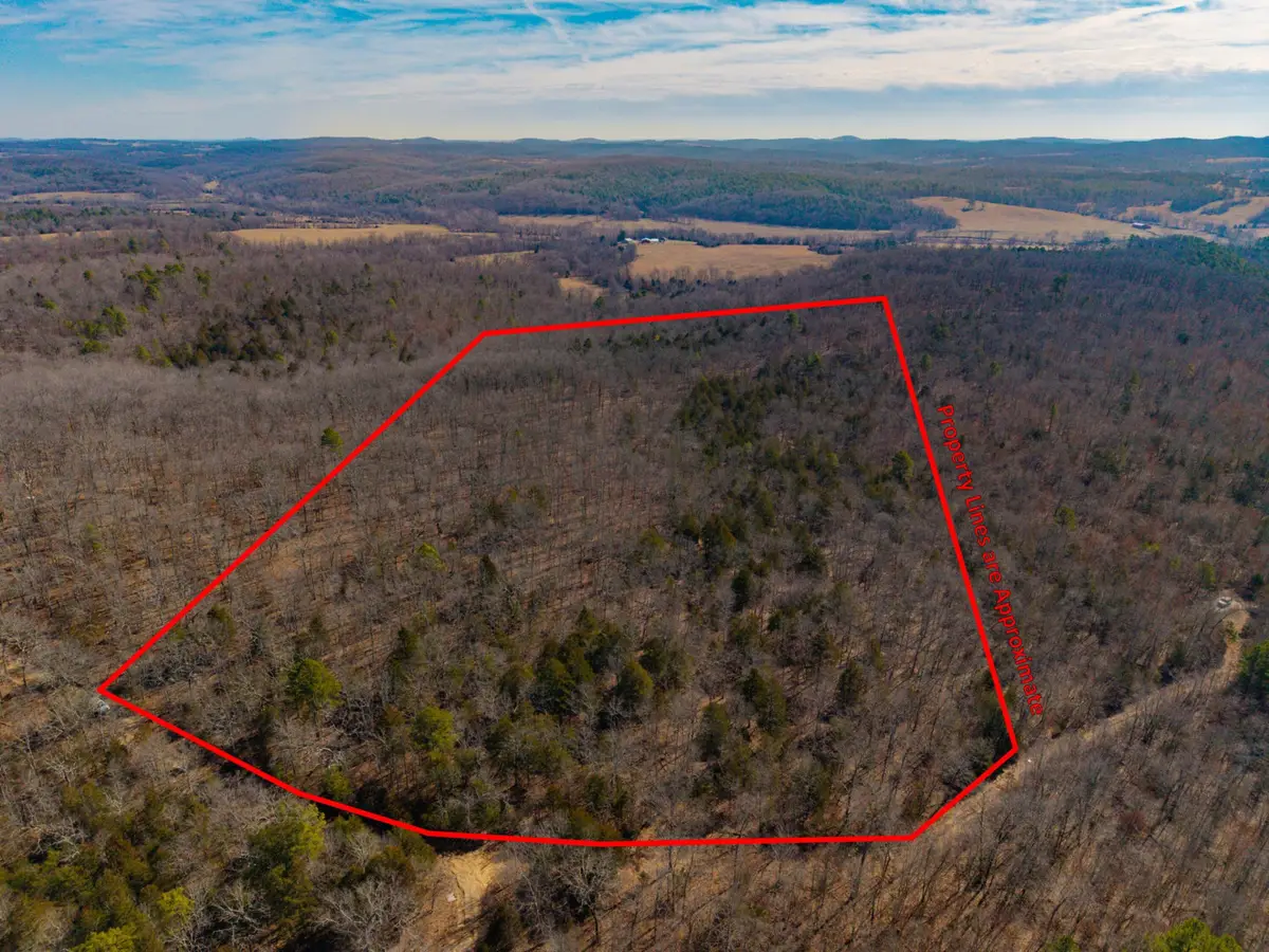 000 Private Road, Drury, MO 65638 - #1