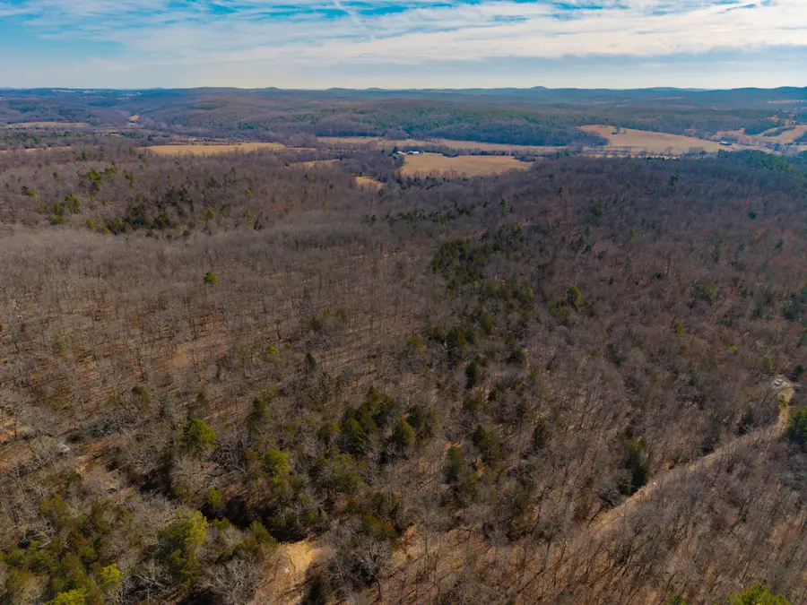 000 Private Road, Drury, MO 65638 - #2