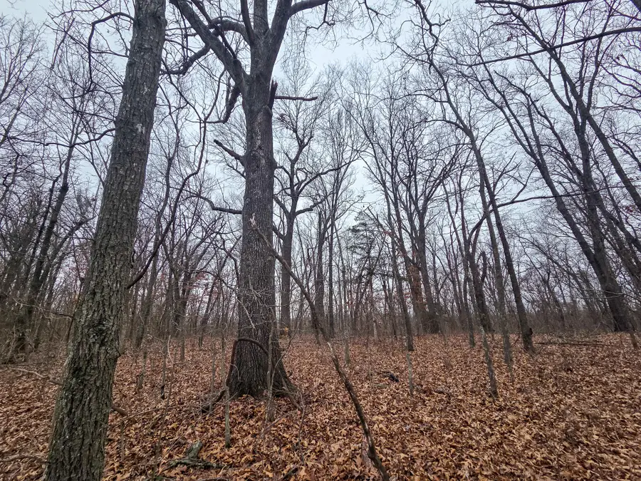 67 N Dade 237, Walnut Grove, MO 65770 - #2