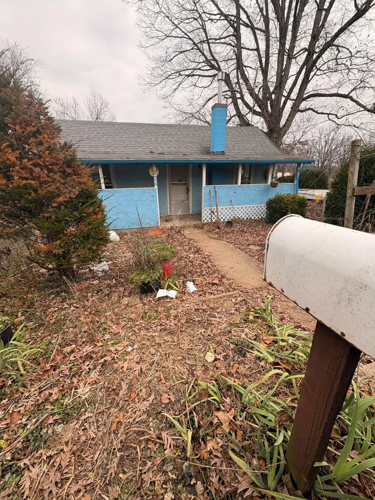 924 Walker Street, West Plains, MO 65775 - #1