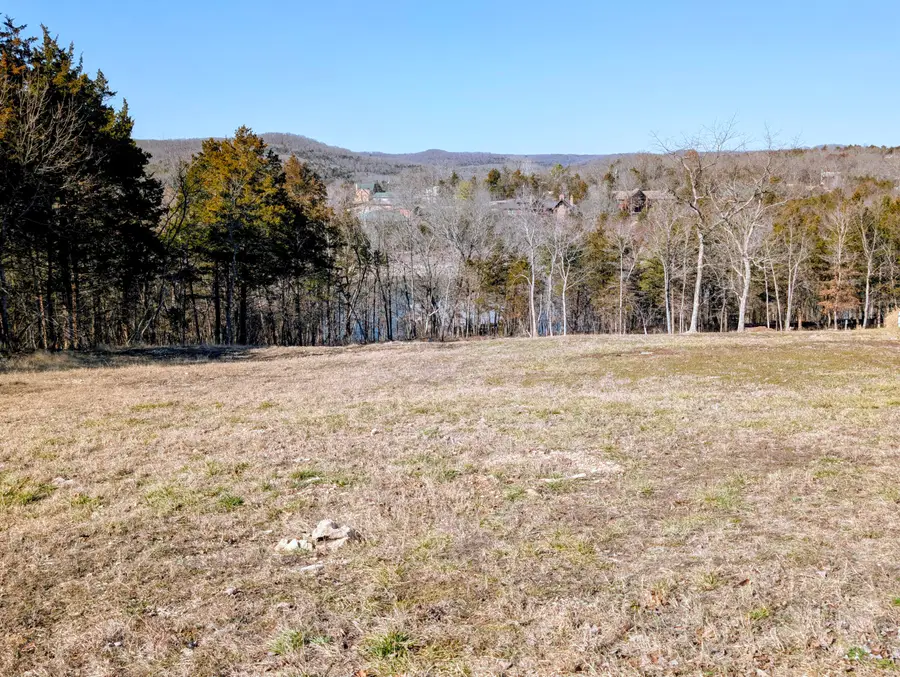 11 Tall Cedar Lane, Reeds Spring, MO 65737 - #2