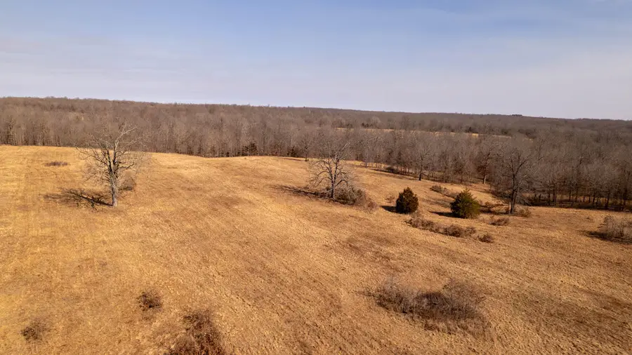 000 W Wirth Road, Mammoth Spring, AR 72554 - #3