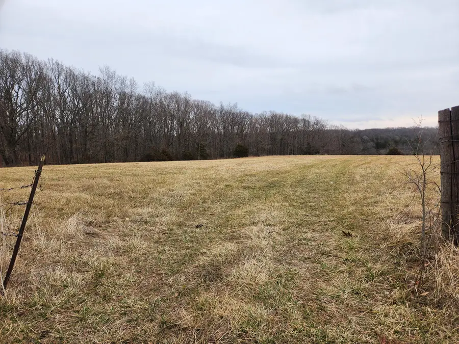 4723 Saddle Club Road, Seymour, MO 65746 - #3