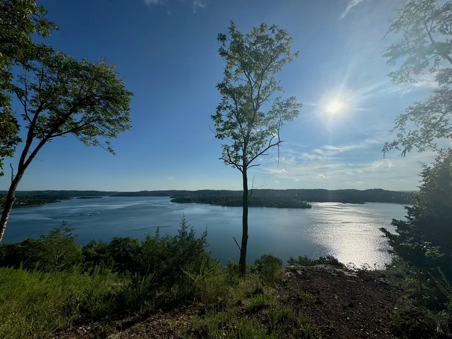 150 Log Slide, Lampe, MO 65681 - #3