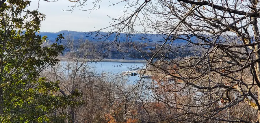 132 Wildflower Road, Kimberling City, MO 65686 - #2