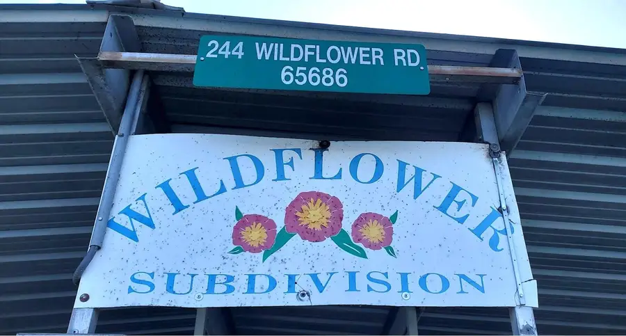 132 Wildflower Road, Kimberling City, MO 65686 - #3