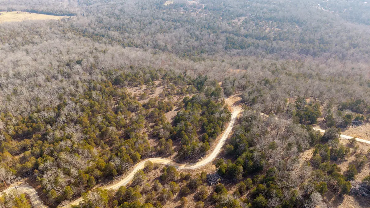 000 Rimstone Lane, Gainesville, MO 65655 - #1