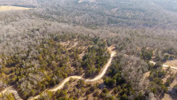 000 Rimstone Lane, Gainesville, MO 65655