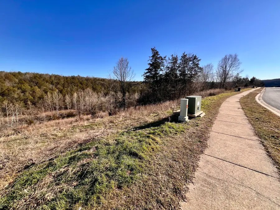 121 Jury Lane, Branson, MO 65616 - #3