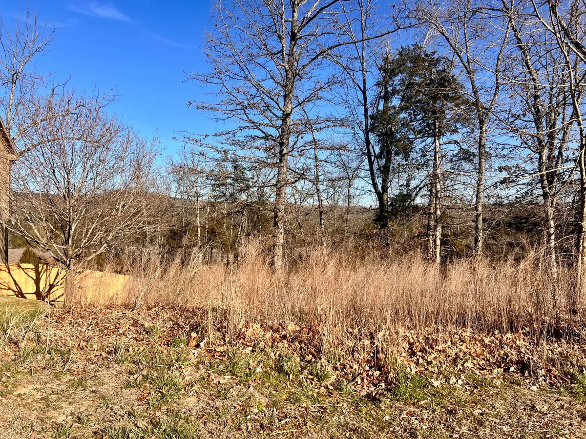 186 Country Ridge Way, Branson, MO 65616 - #1