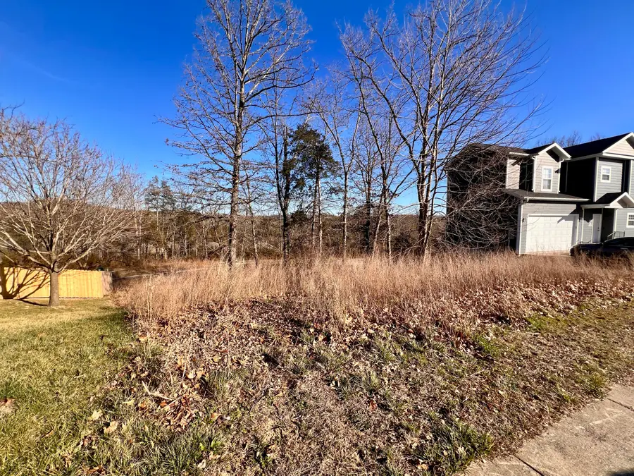 186 Country Ridge Way, Branson, MO 65616 - #2