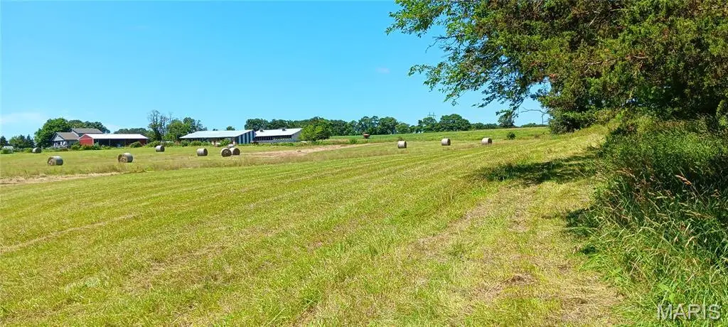 6991 Ely Road, Hartville, MO 65667 - #1