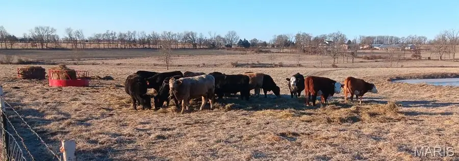 6991 Ely Road, Hartville, MO 65667 - #3