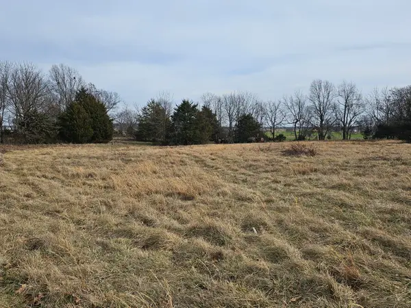 17755 State Highway Z, Verona, MO 65769