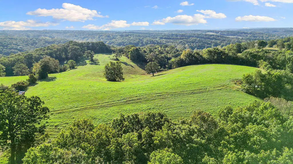 253 Raven Road, Noel, MO 64854 - #1