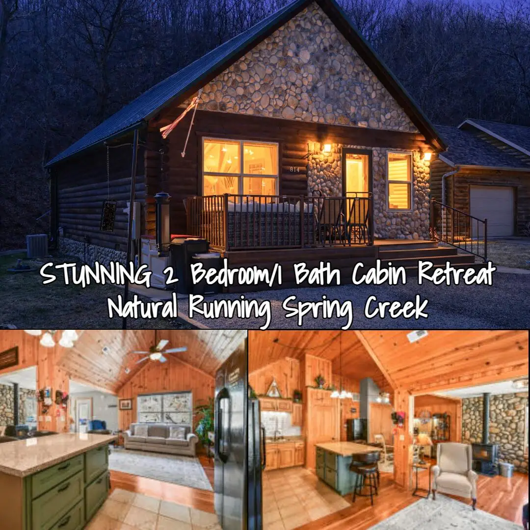 814 Peace In Valley Road, Blue Eye, MO 65611 - #1