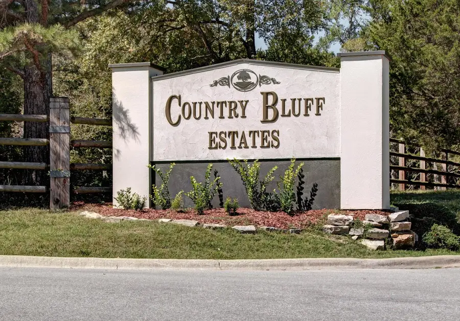117 Country Bluff Drive, Branson, MO 65616 - #3