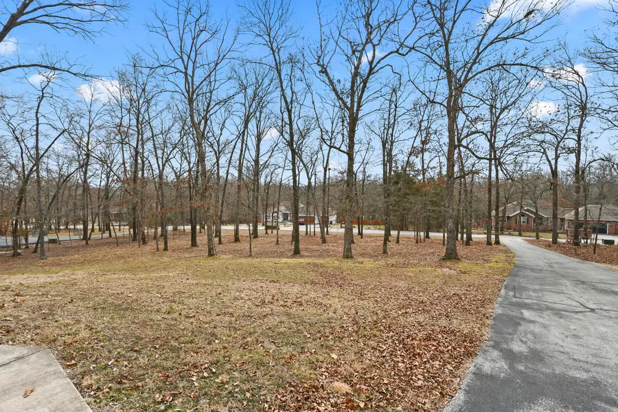 145 Spring Lane, Branson, MO 65616 - #3