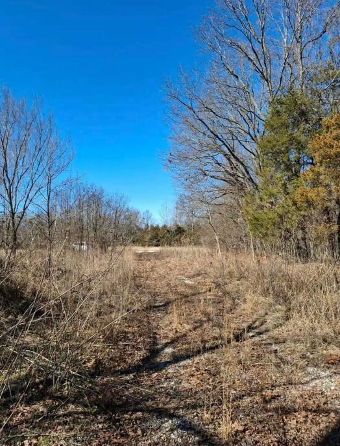 6237 Hunters Glen Road, Seligman, MO 65745 - #1