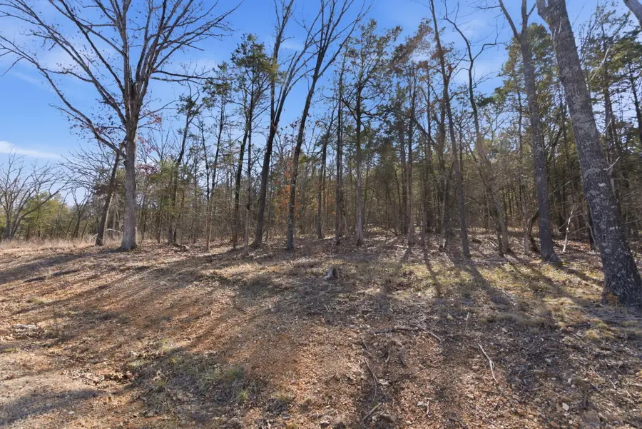 225 Eagle Creek Drive #Lot 5, Forsyth, MO 65653 - #2