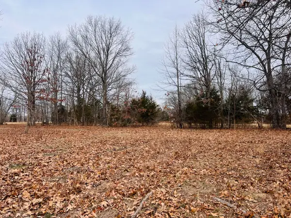 6494 S State Highway Vv, Rogersville, MO 65742