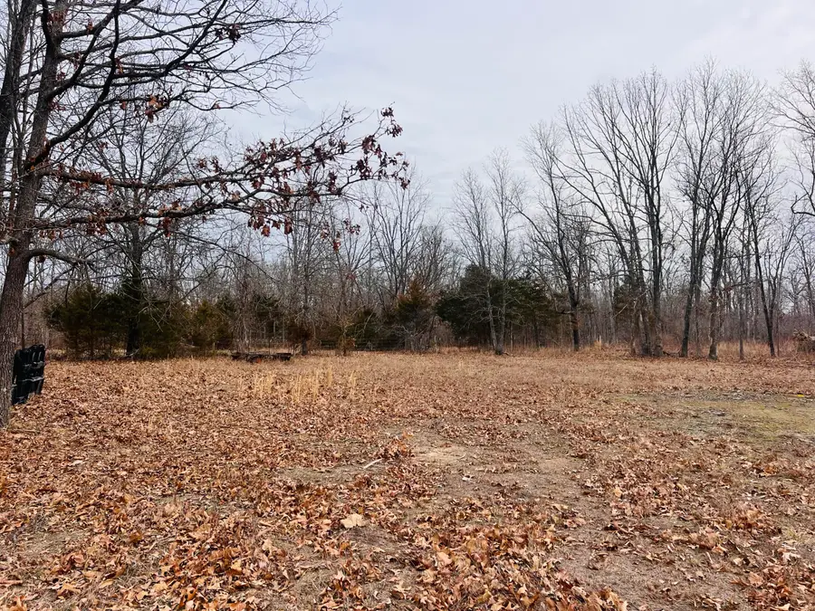 6494 S State Highway Vv, Rogersville, MO 65742 - #3