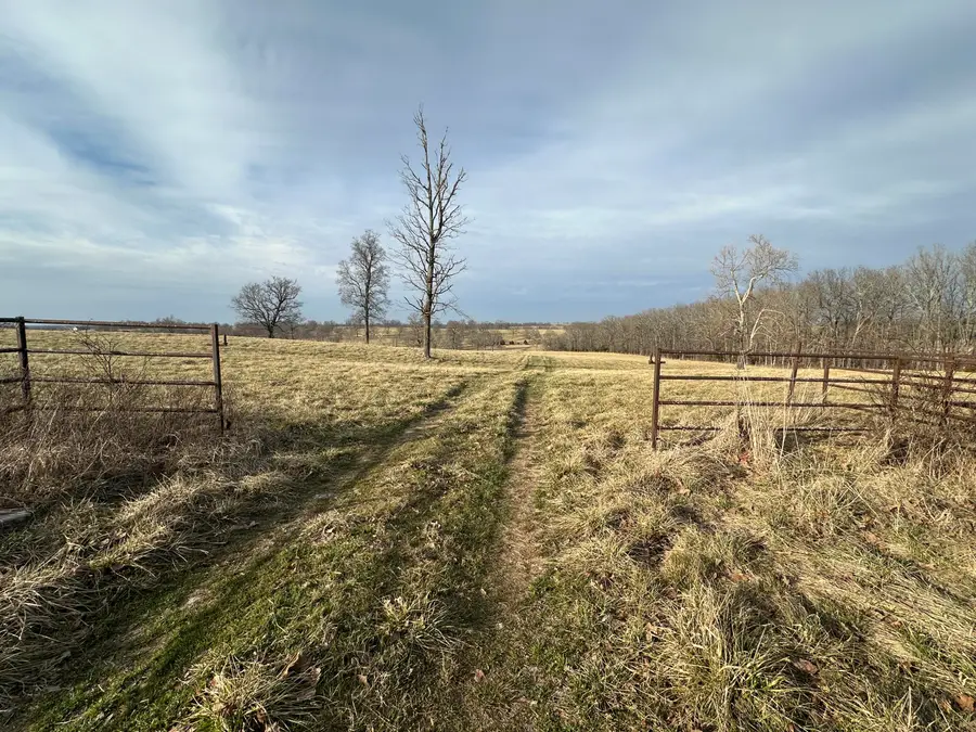 000 Boulder Road, Mountain Grove, MO 65711 - #2