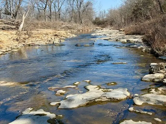 000 State Hwy M, Cabool, MO 65689 - #1