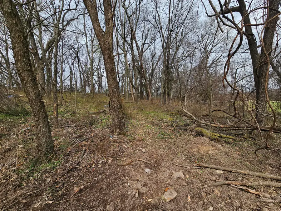 000 E Garner Street, Goodman, MO 64843 - #3