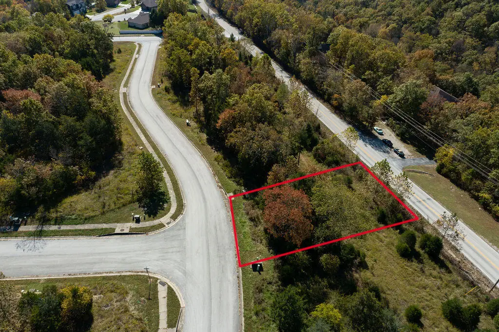 Lot 9 Redwine Avenue, Branson, MO 65616 - #1