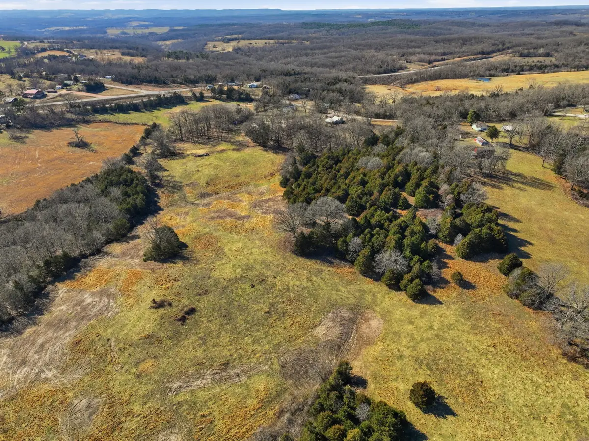 152 & 138 County Road 131, Wasola, MO 65773 - #1