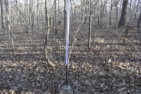 000 Restoration Hill Road, Camdenton, MO 65020