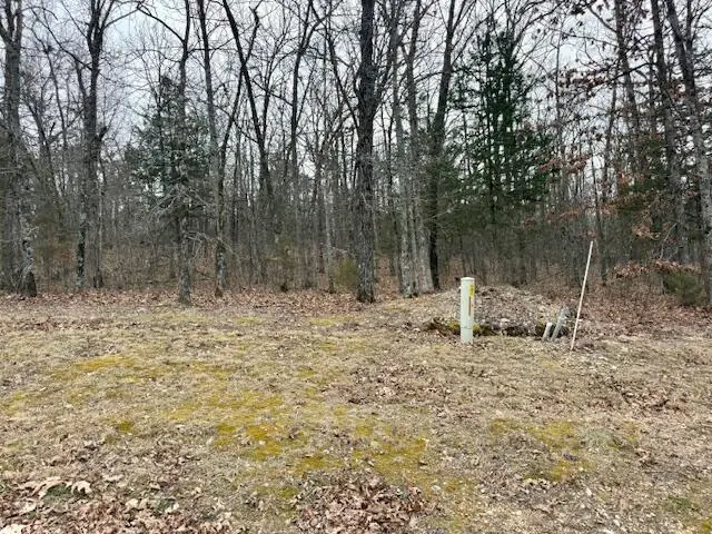 Lot 81 Green Cypress Lane, Shell Knob, MO 65747 - #3