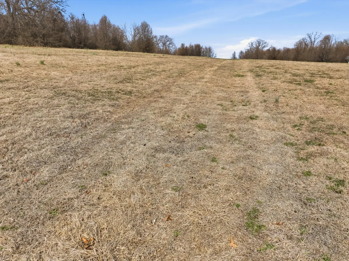 1607 County Road 8240, West Plains, MO 65775 - #1