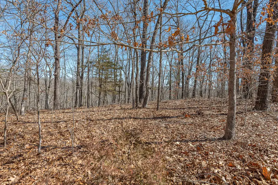 000 Nottingham Court, Saddlebrooke, MO 65630 - #3