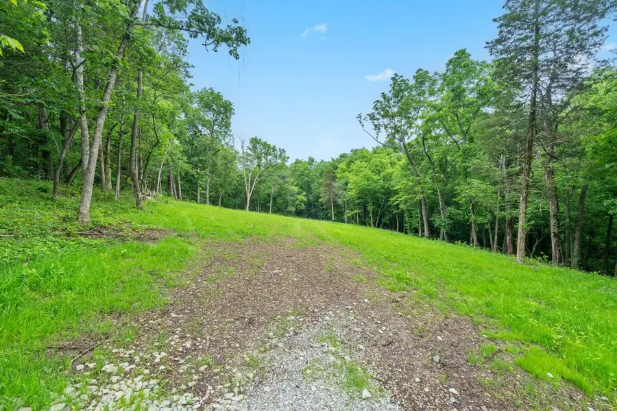 000 W Old Limey Road, Brookline, MO 65619 - #3